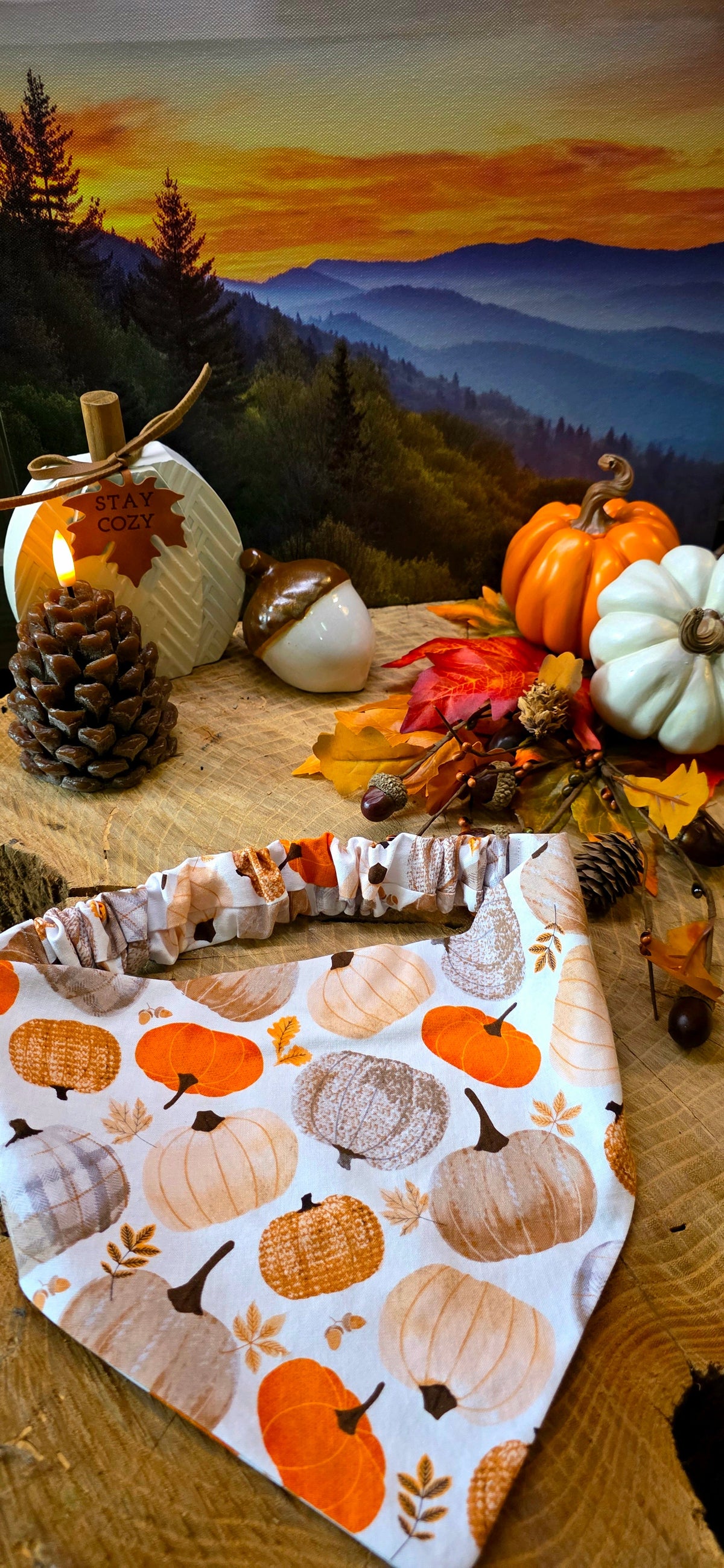 Fall Collection
