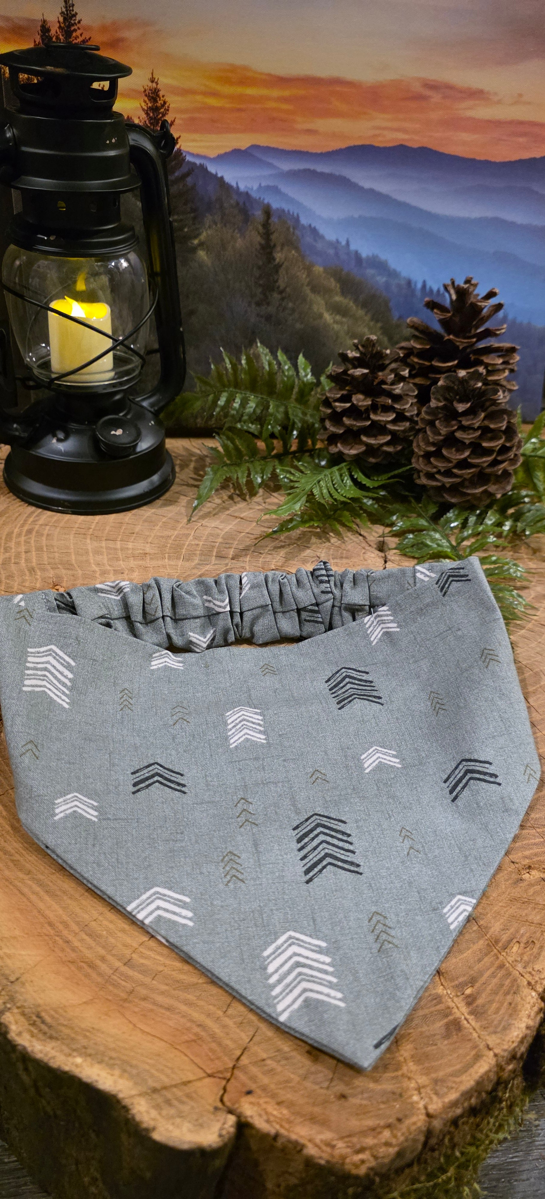 Follow Your Own Arrow Bandana