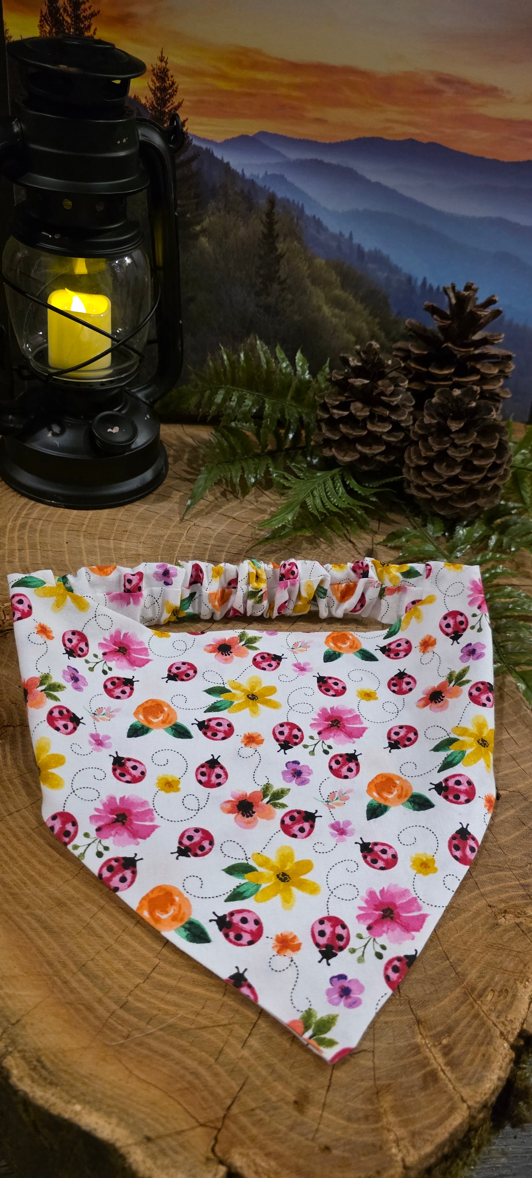 Ladybug Bandana