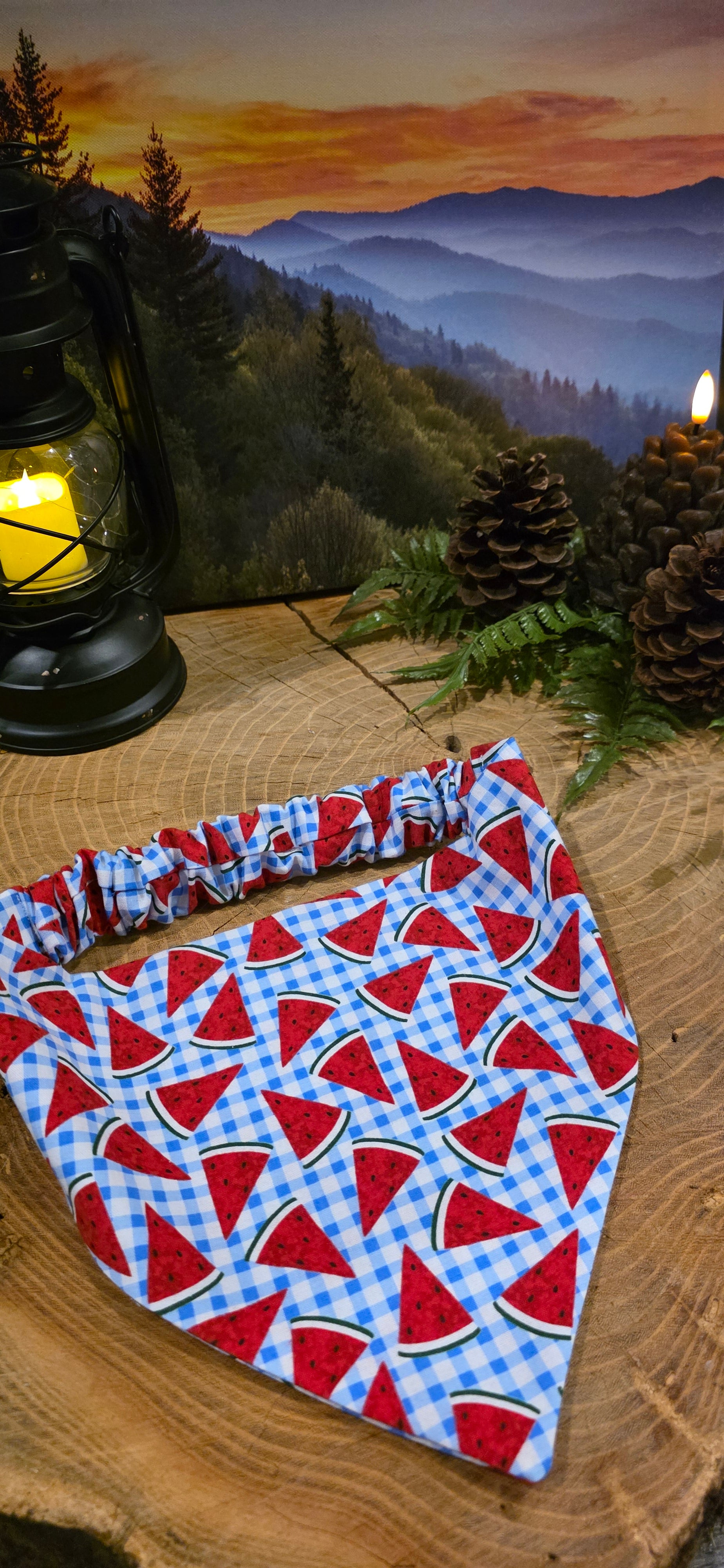 Watermelon Bandana