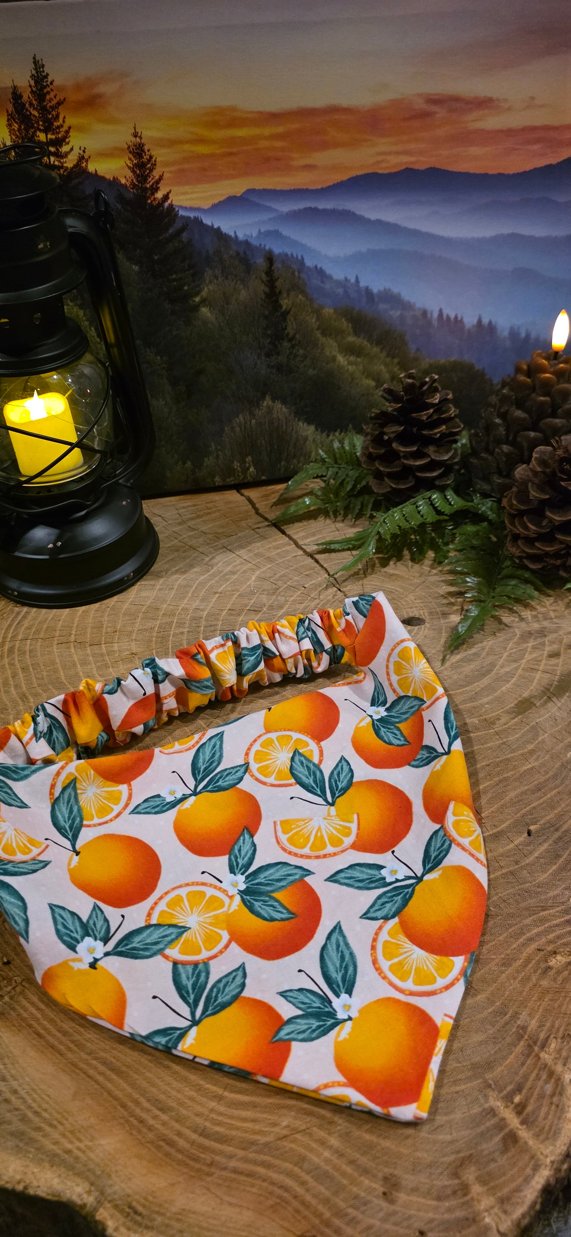 Summer Oranges Bandana