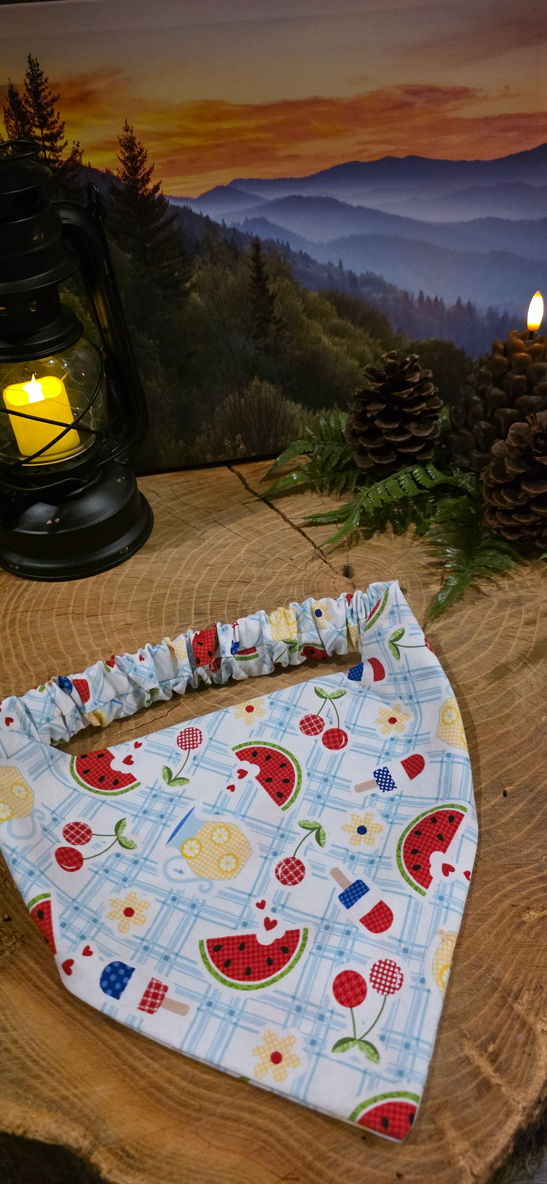 Summertime Picnic Bandana