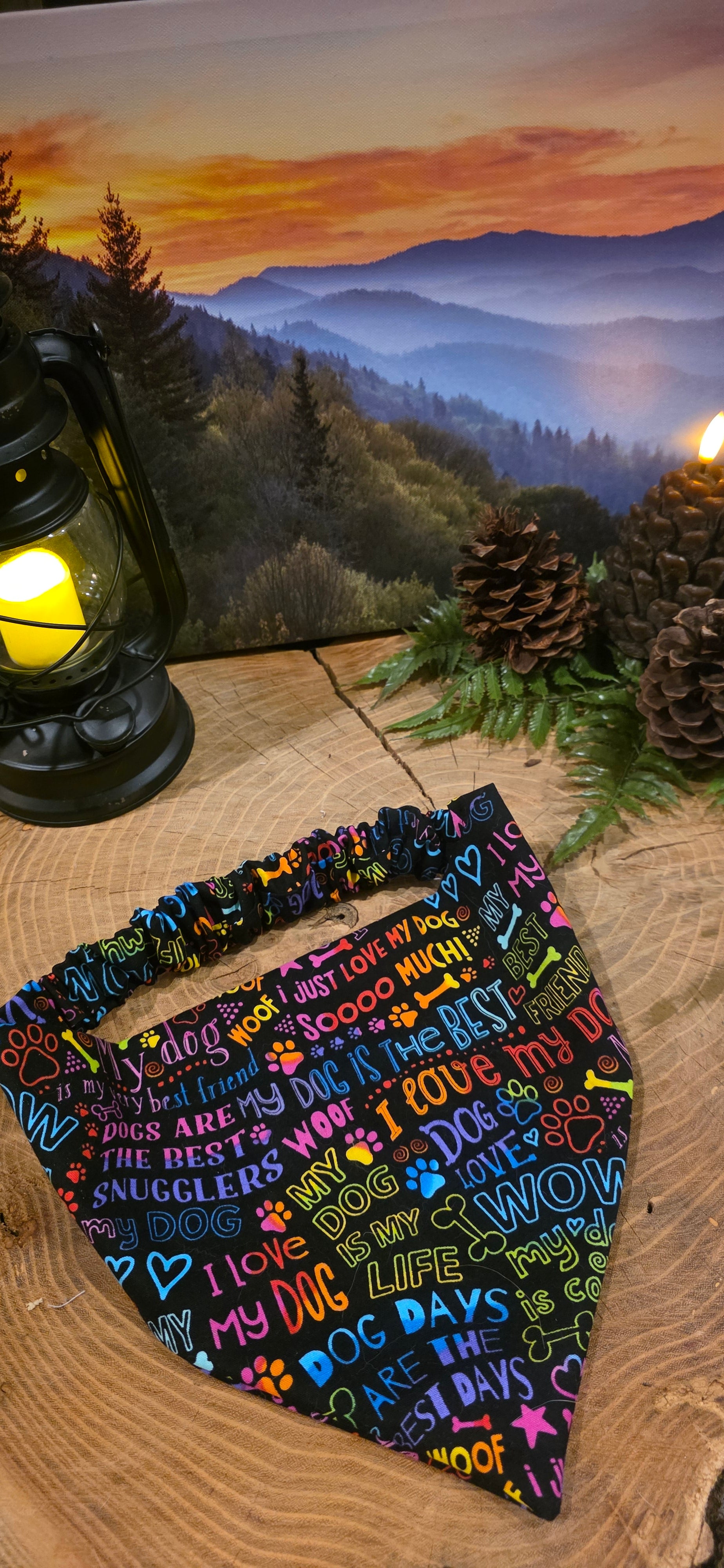 Rainbow Woof Bandana
