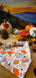 Fall Pumpkins