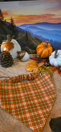 Fall Orange Bandana