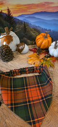 Fall Plaid Bandana