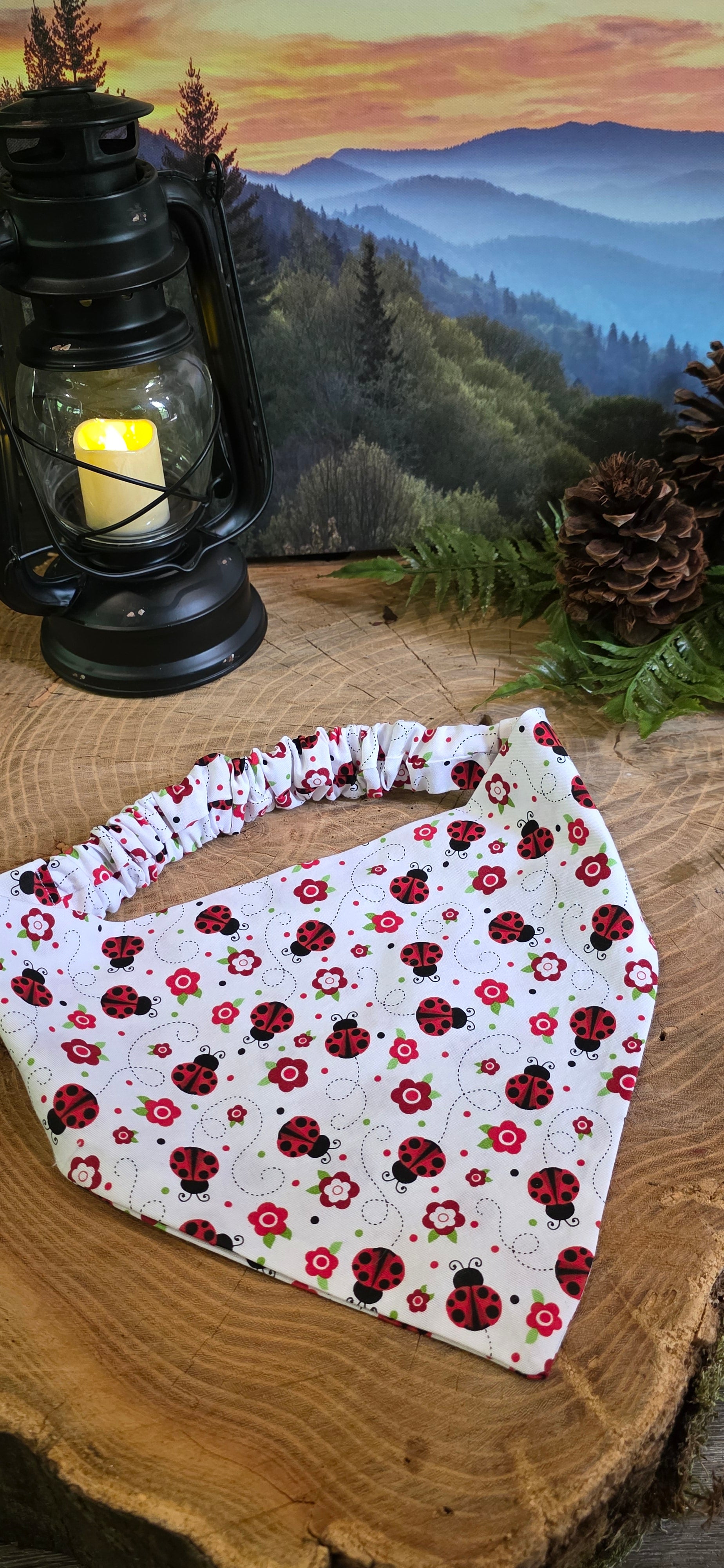 Ladybug & Daisies Bandana
