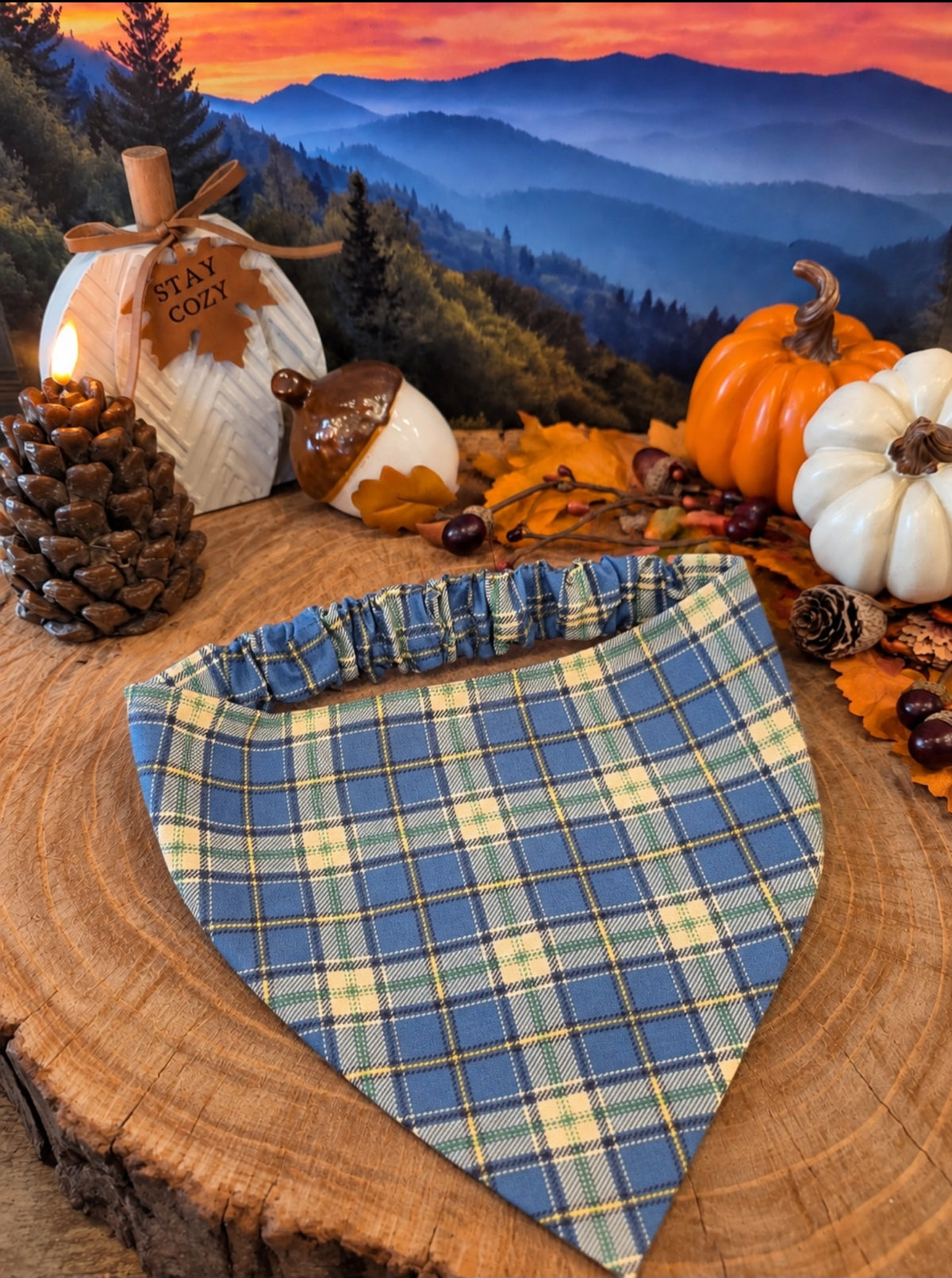 Blue Plaid Bandana
